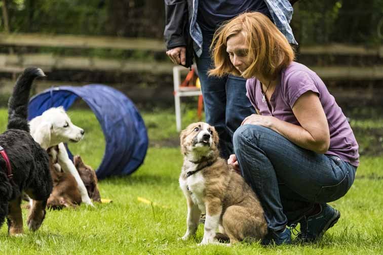 Hundetrainerausbildung