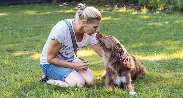 Viel Zeit für Sie und Ihren Hund