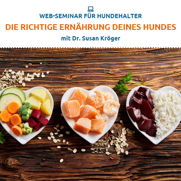 Webinar - Die richtige Ernährung deines Hundes