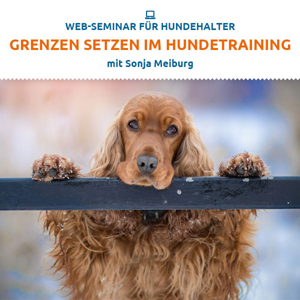 Webinar - Grenzen setzen im Hundetraining