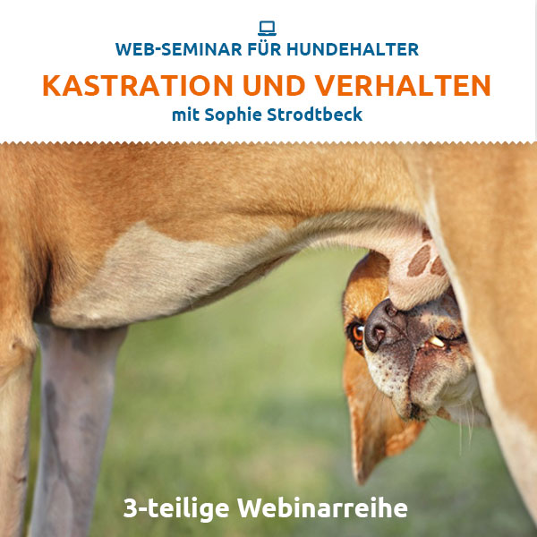 Webinarreihe Kastration und Verhalten