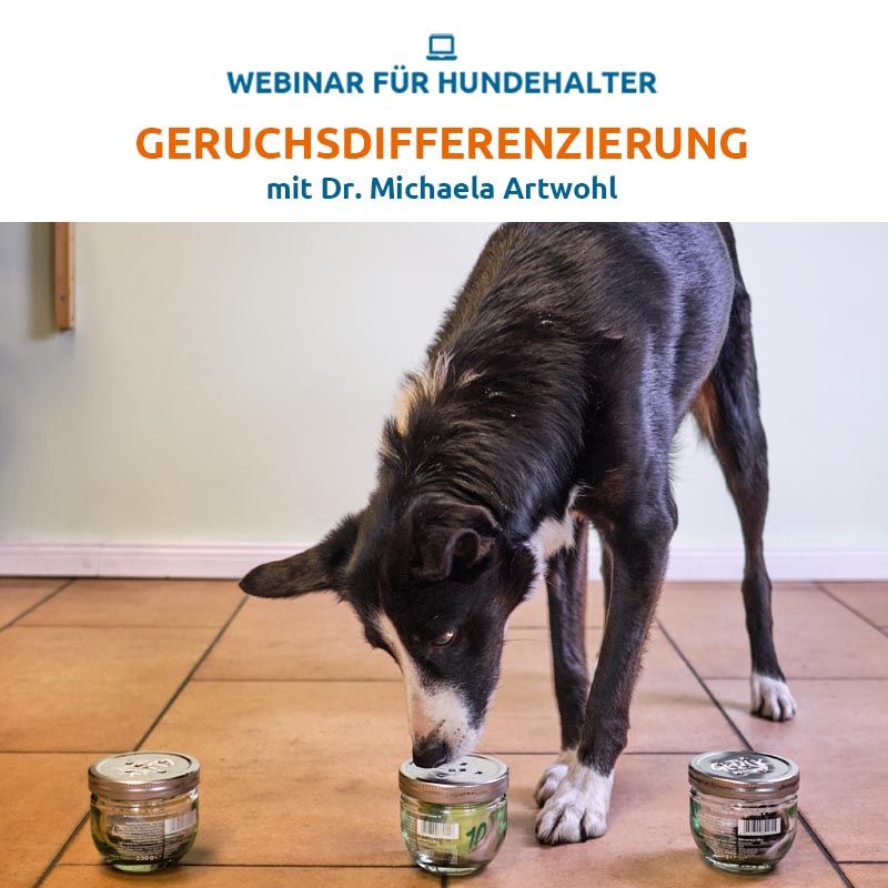 Webinar Geruchsdifferenzierung