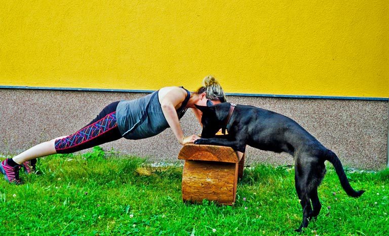 Bauch Beine - - MenschHund!-Hundeschule